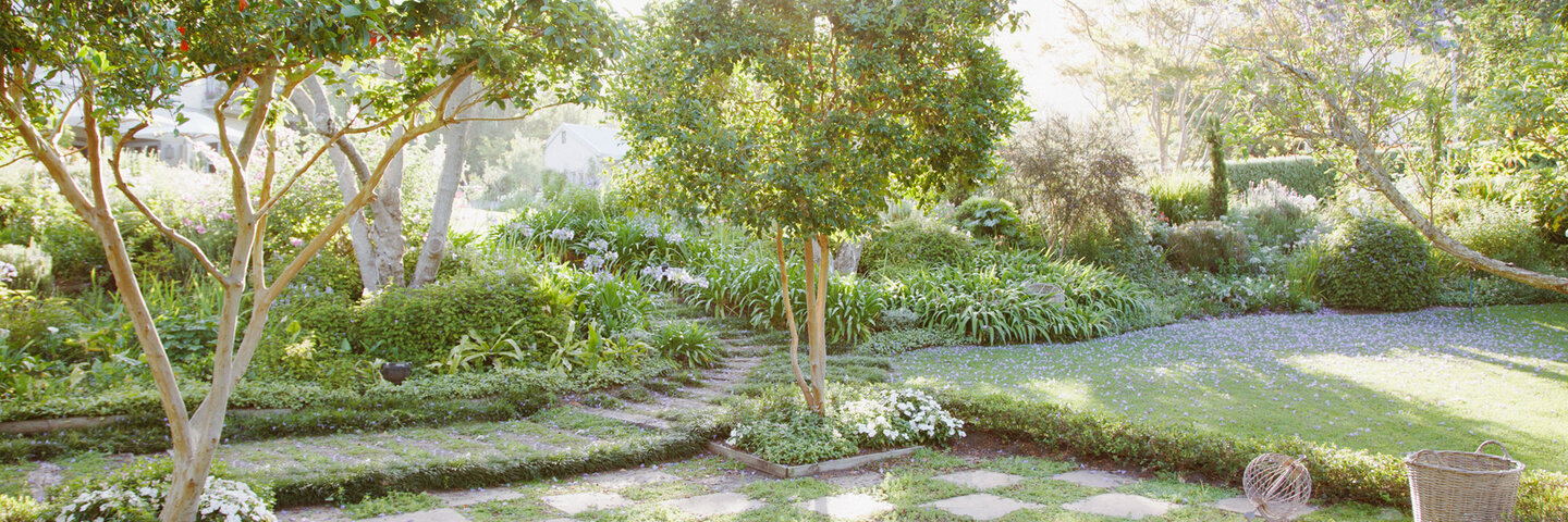 Landscaped garden with trees and grass.
